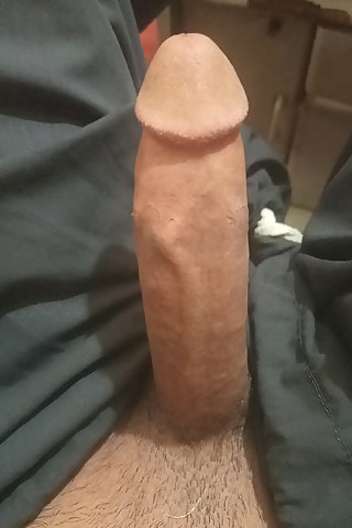 admin added